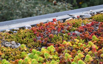 the cost of Fornham St Genevieve green roof installation
